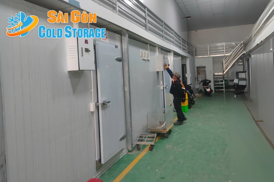 #Thi Công Kho Đông Và Kho Mát Tại Quận 8
