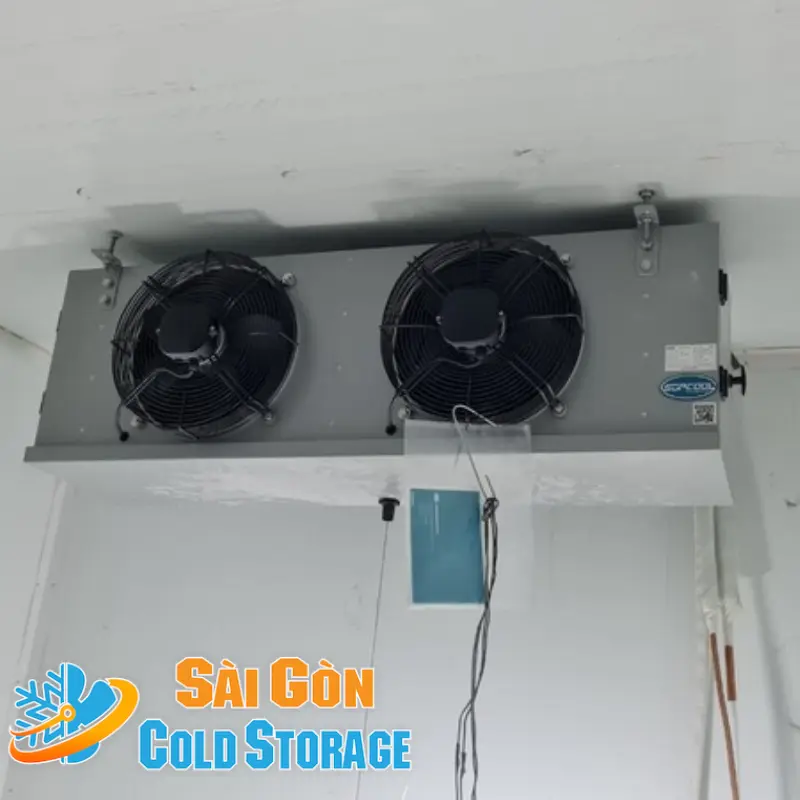 cách bảo quản thịt bò