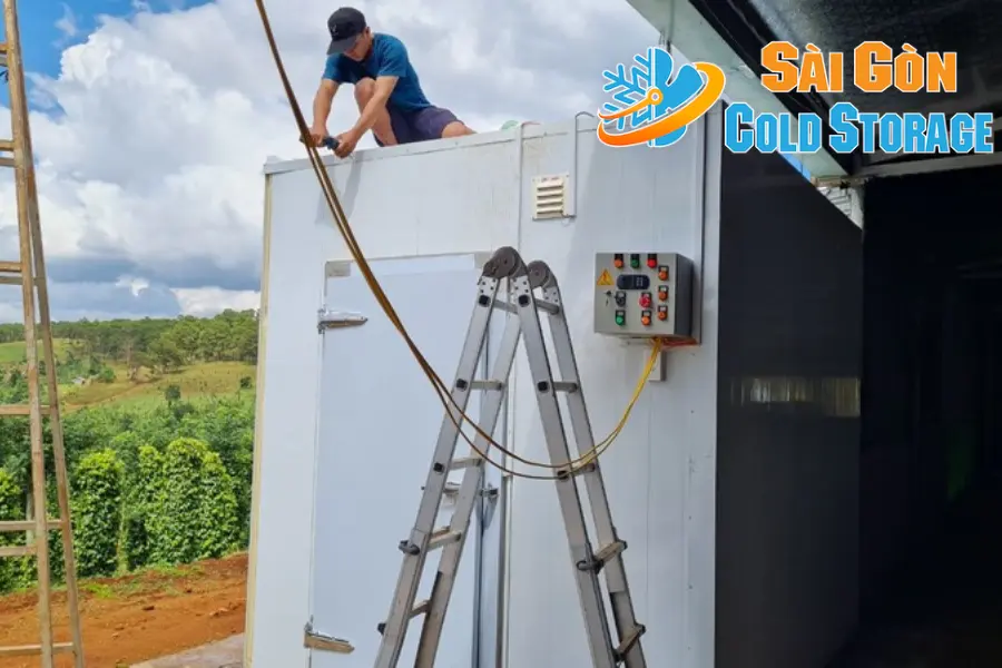 hải sản cấp đông