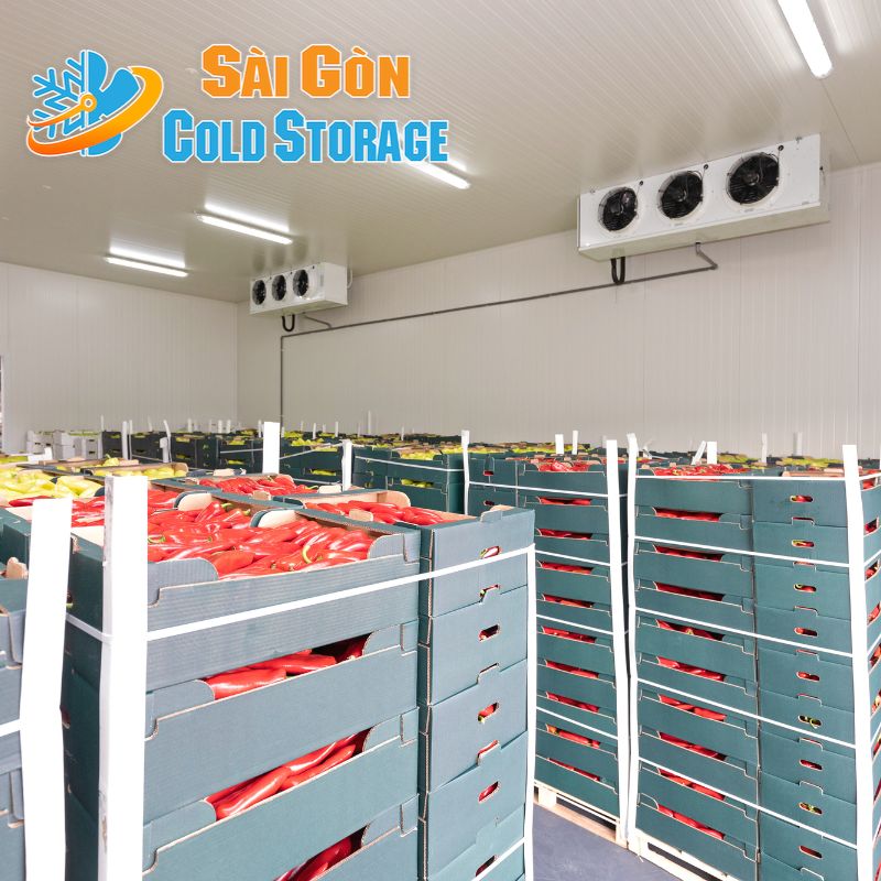 cách bảo quản thịt bò