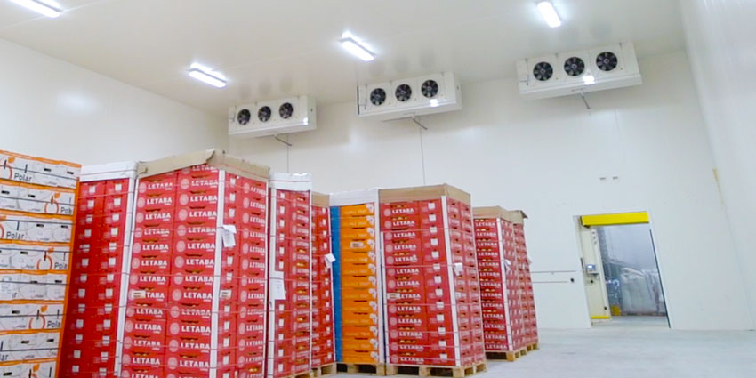 Kinh nghiệm lắp đặt và sử dụng kho đông lạnh