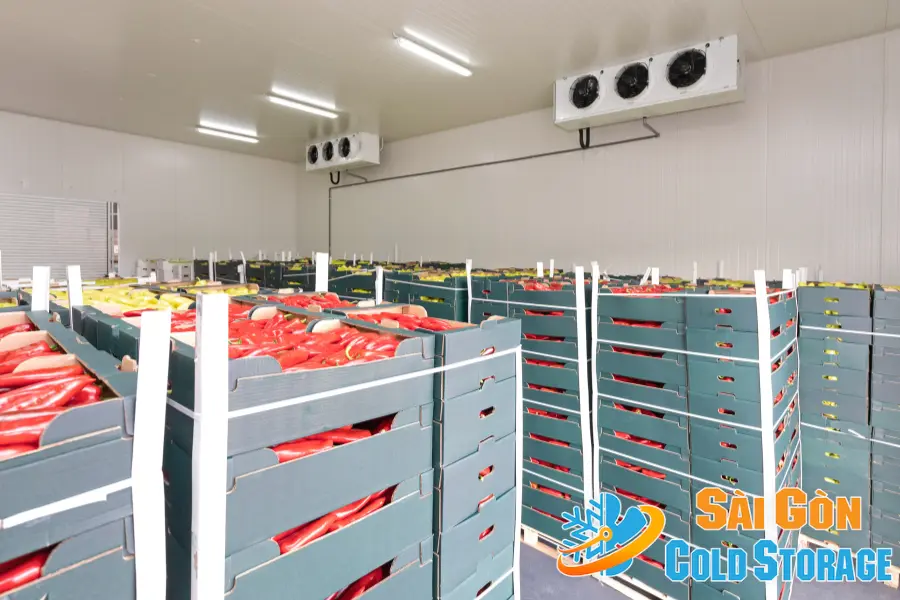 #Địa Chỉ Lắp Đặt Kho Lạnh Bình Dương - Dịch Vụ Uy Tín Nhất 